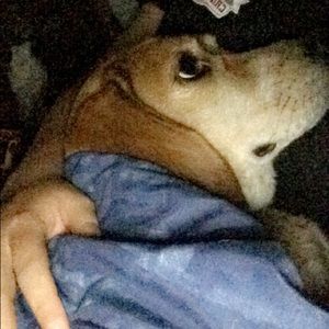 Meet your Posher, Kelli